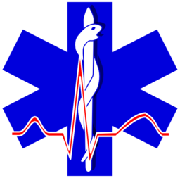 Paramedic Cross