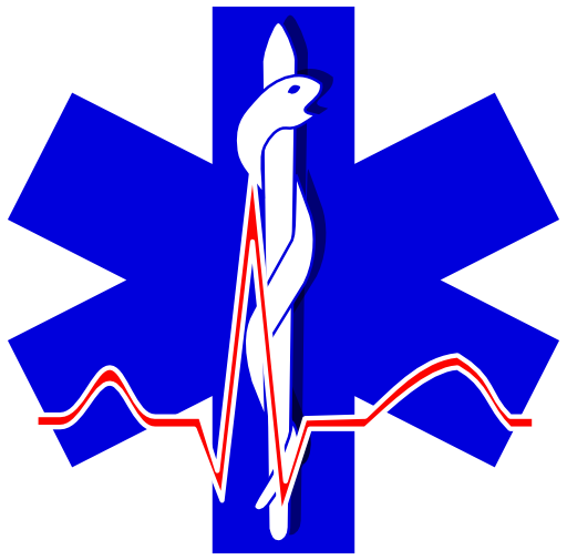 Paramedic Cross