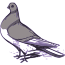 download Pigeon Illustration clipart image with 225 hue color
