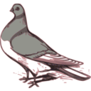 download Pigeon Illustration clipart image with 315 hue color
