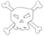 White Skull N White Bones