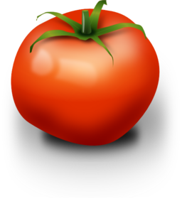 Tomato