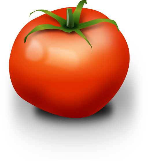 Tomato