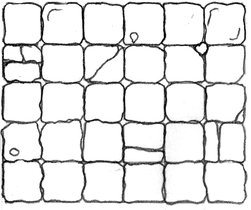 Damaged Paving Stones