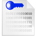 download Encrypted File Icon clipart image with 180 hue color