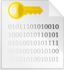 Encrypted File Icon