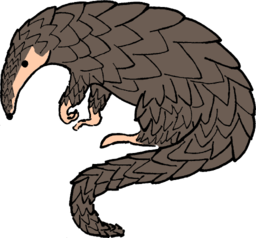 Pangolin