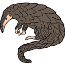 download Pangolin clipart image with 0 hue color