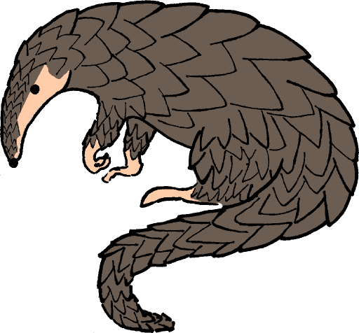 Pangolin