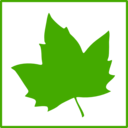 Eco Green Leaf Icon