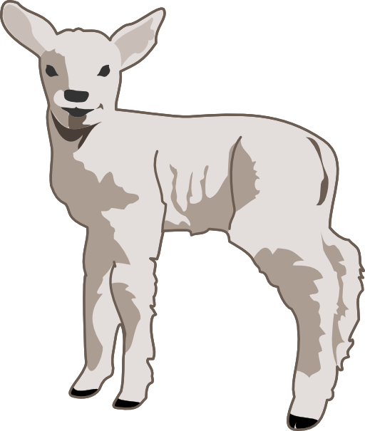 Young Lamb