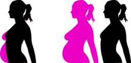 Pregnancy Silhouet