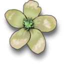 download Apple Blossom clipart image with 90 hue color