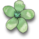 download Apple Blossom clipart image with 135 hue color