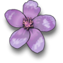 download Apple Blossom clipart image with 315 hue color