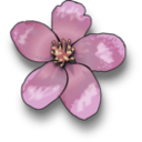 download Apple Blossom clipart image with 0 hue color