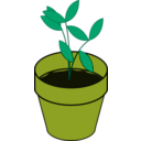 download Plant Terracotta clipart image with 45 hue color