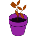 download Plant Terracotta clipart image with 270 hue color
