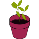 download Plant Terracotta clipart image with 315 hue color
