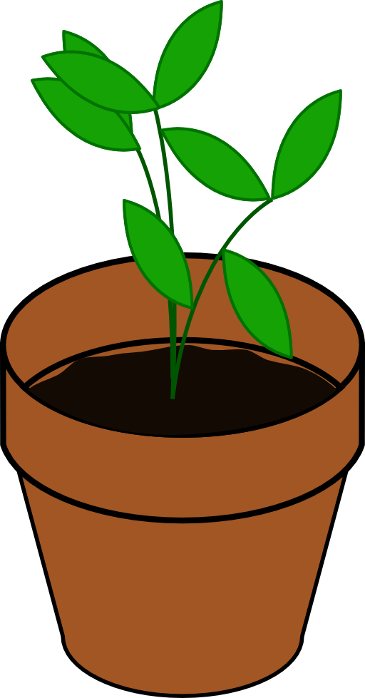 Plant Terracotta