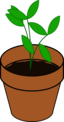 Plant Terracotta