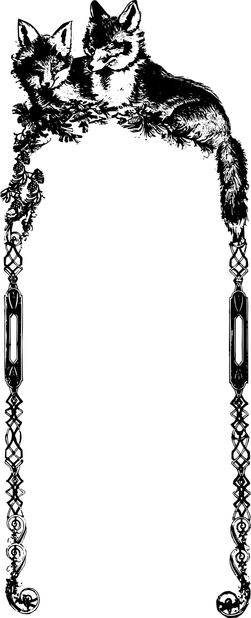 Fox Frame