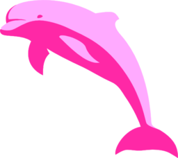 Delphin Delfin Dolphin