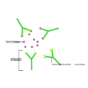 download Anticorps Antigene clipart image with 90 hue color