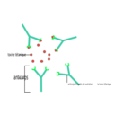 download Anticorps Antigene clipart image with 135 hue color