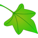 download Leaf 01 clipart image with 45 hue color