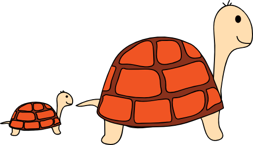 Turtles