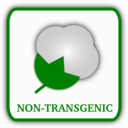 Cotton Non Transgenic
