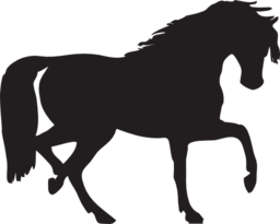 Horse Silhouette