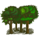 Colorized Group Of Trees
