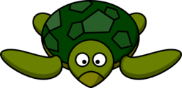 Cartoon Turtle