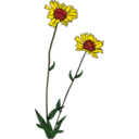 download Gg Gaillardia Aristata clipart image with 0 hue color