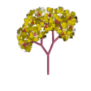 download Pear Tree clipart image with 315 hue color