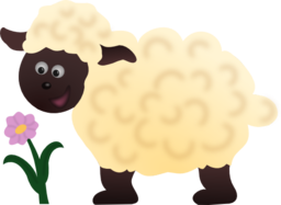 Happy Sheep