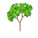 download Pear Tree clipart image with 0 hue color