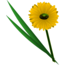 download Flowers Gerbera clipart image with 45 hue color