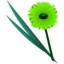 download Flowers Gerbera clipart image with 90 hue color