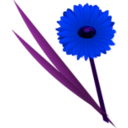 download Flowers Gerbera clipart image with 225 hue color