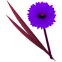 download Flowers Gerbera clipart image with 270 hue color