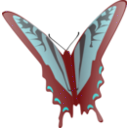 download Butterfly clipart image with 135 hue color