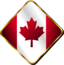 Canadian Pin