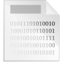 Binary File