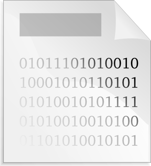 Binary File