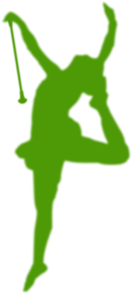 Baton Twirler Silhouette