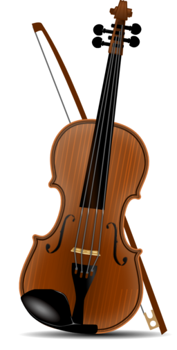 Violin