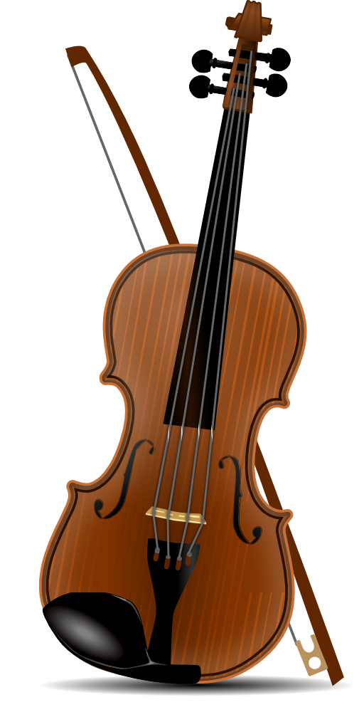 Violin